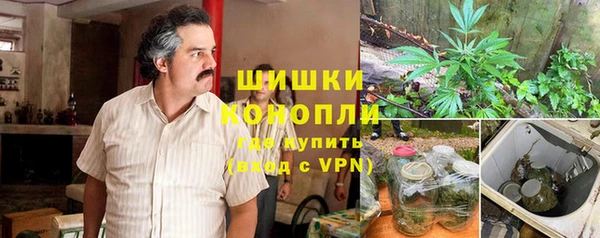 ECSTASY Алзамай